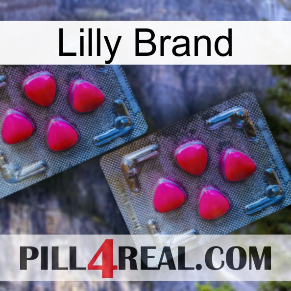 Lilly Brand 14.jpg